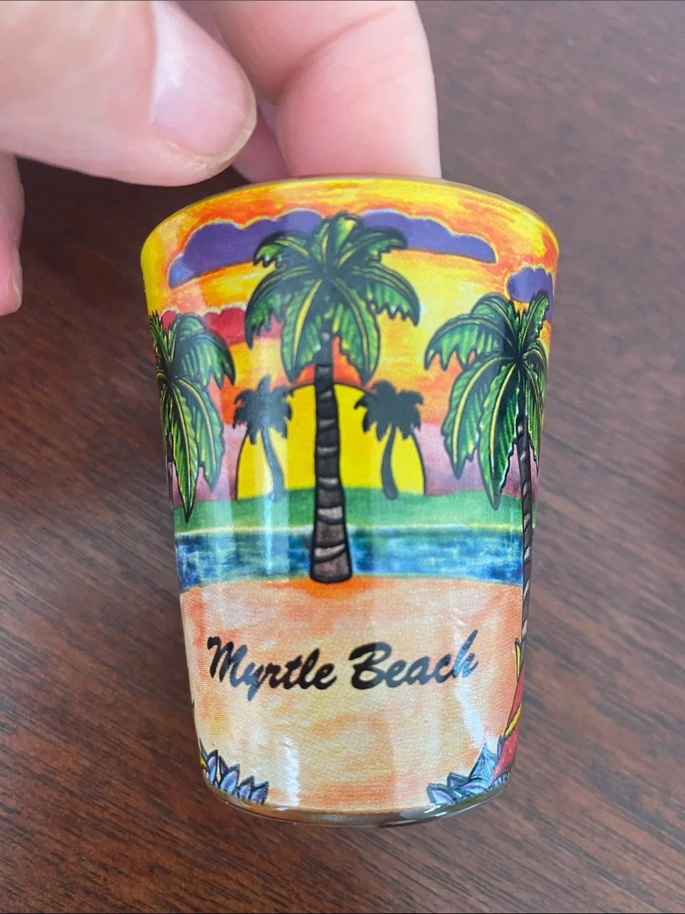Set Of 3 Shot Glasses Myrtle Beach Savannah, Georgia, and Dr. McGillicuddy‘s
